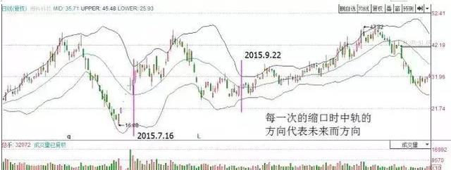佈林線喇叭口形態解析 佈林線喇叭口形態解析
