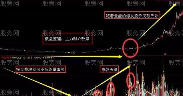 強勢大黑馬形態 強勢大黑馬形態