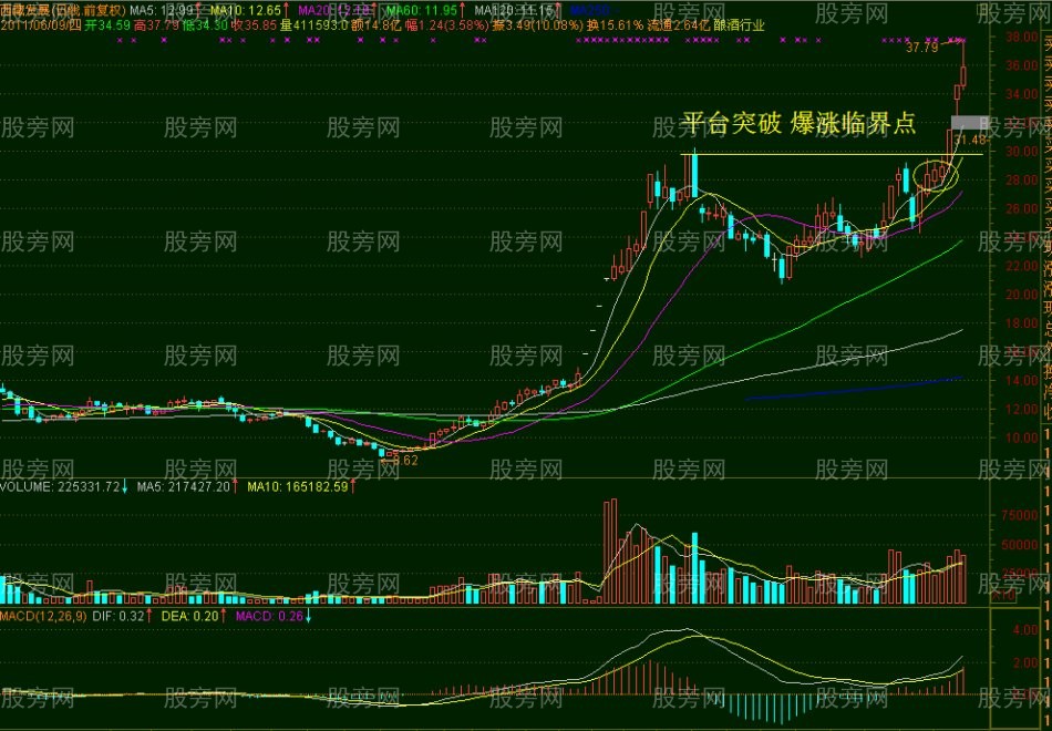 爆漲臨界點的常見形態 爆漲臨界點的常見形態