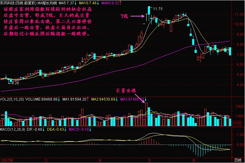 T線形成頭部的意義 T線形成頭部的意義