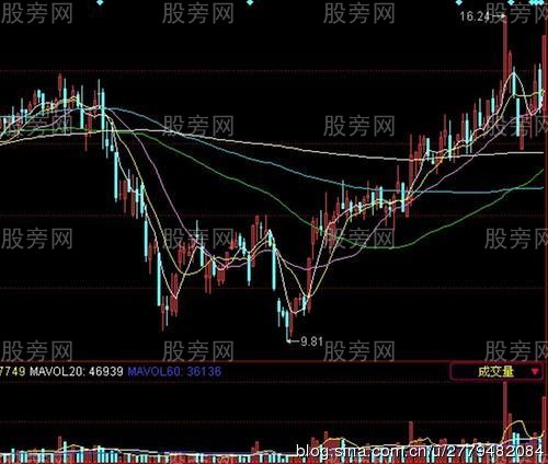 黑馬基因三加三 黑馬基因三加三