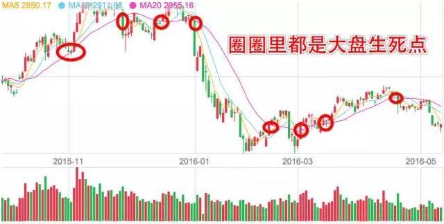 20日均線常抓牛股 20日均線常抓牛股