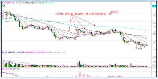 漲停板戰法研究圖解 漲停板戰法研究圖解