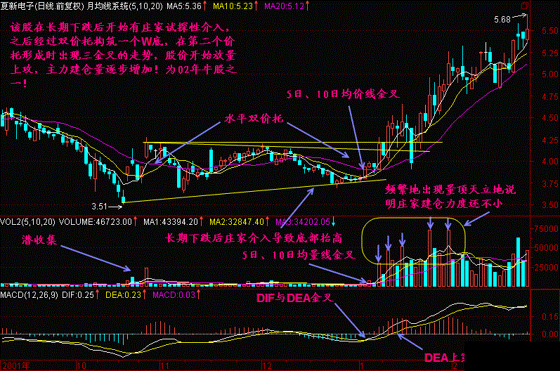 三金叉見底形態操作方法 三金叉見底形態操作方法