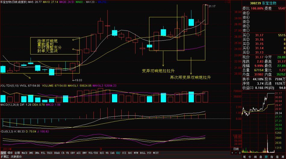 黑馬主力思路解析