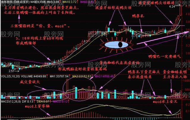 經典技術分析老鴨頭 經典技術分析老鴨頭