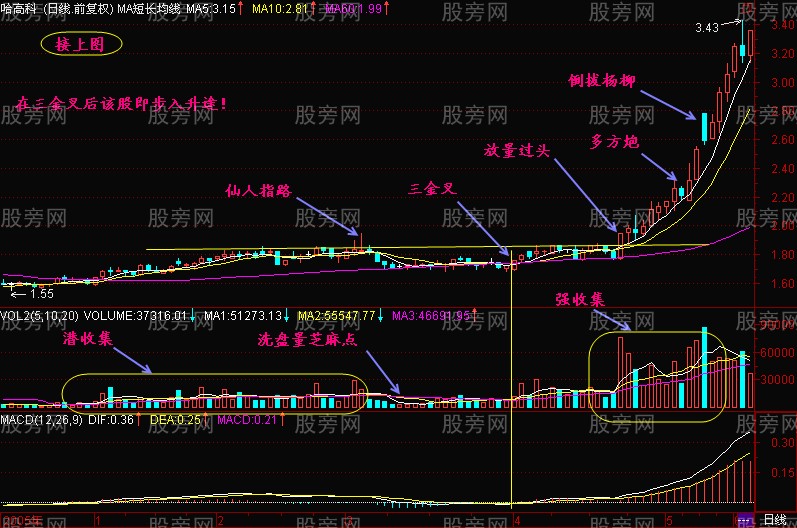 三金叉共振操作方法(均線+均量線+MACD) 三金叉共振操作方法(均線+均量線+MACD)