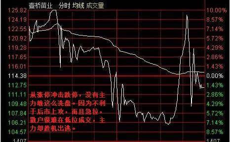 強莊出貨五種分時圖
