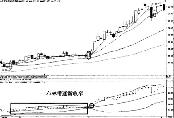 佈林線喇叭開花抓黑馬 佈林線喇叭開花抓黑馬