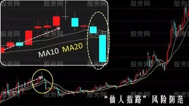 仙人指路超詳細操作圖解