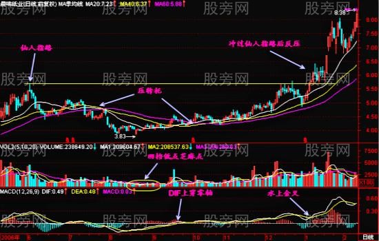 仙人指路戰法深度研究 仙人指路戰法深度研究