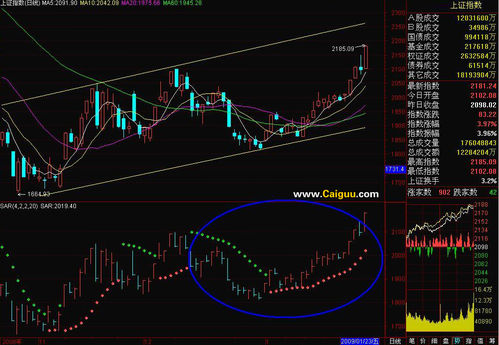 停損指標SAR對散戶的作用