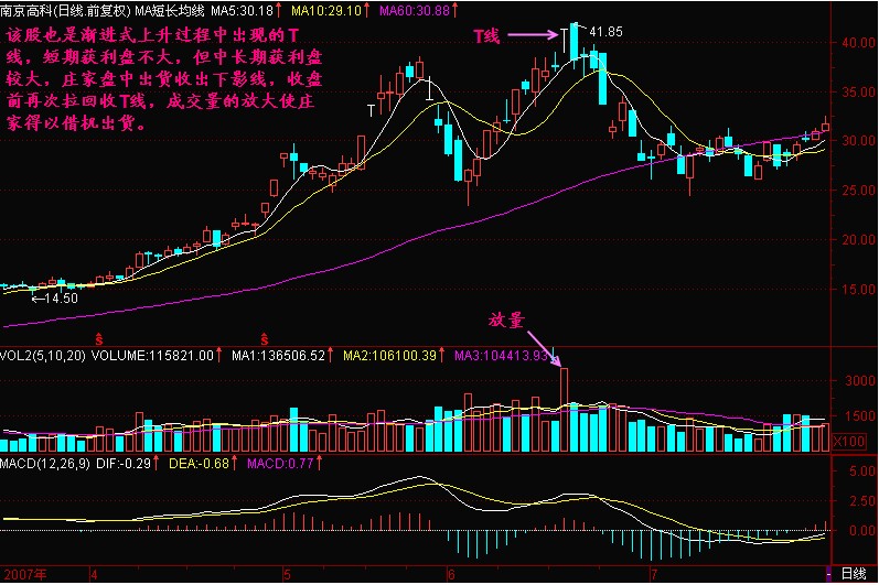 T線形成頭部的意義 T線形成頭部的意義