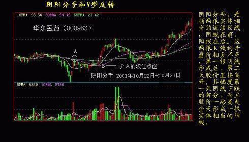 抓住黑馬股的方法 抓住黑馬股的方法