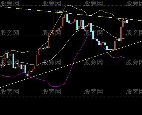三角形典型形態 三角形典型形態