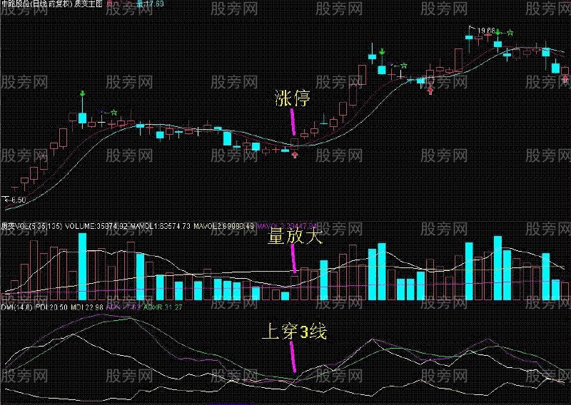 DMI連穿三線抄大底 DMI連穿三線抄大底
