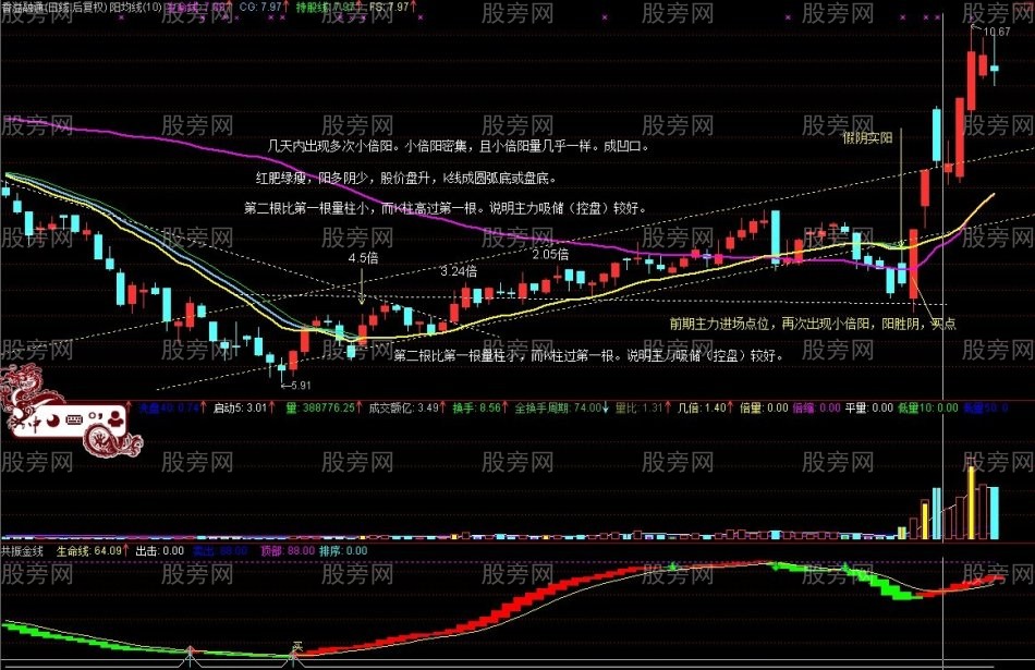 股票大漲的基因 股票大漲的基因