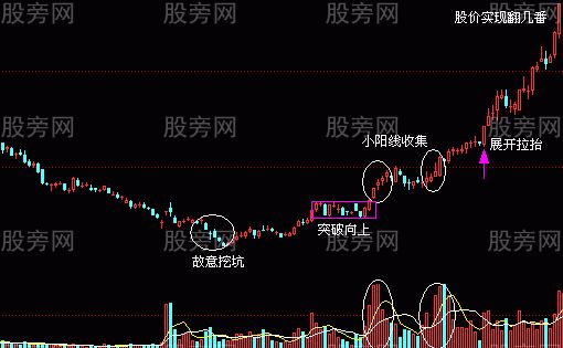 牛股的基本面和技術面共同特點 牛股的基本面和技術面共同特點