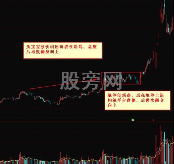 出手就翻倍的抓黑馬形態技巧 出手就翻倍的抓黑馬形態技巧