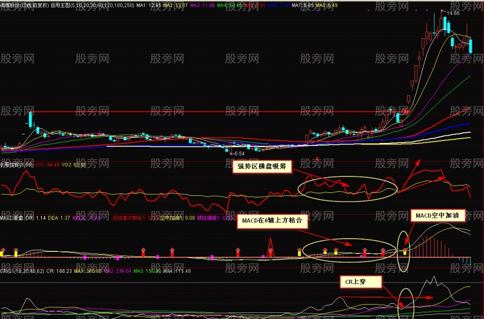 簡單指標就能發現大牛
