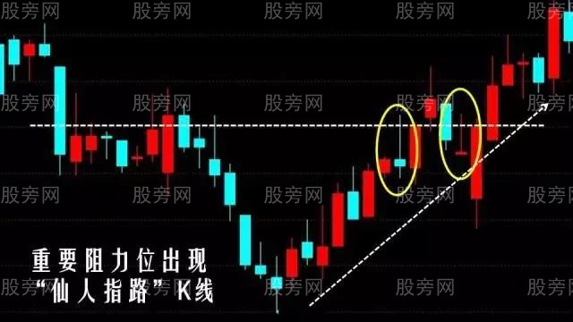 仙人指路超詳細操作圖解