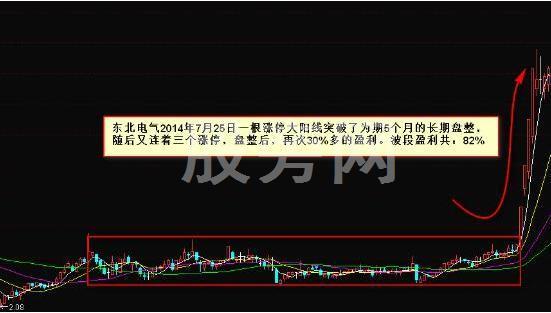 出手就翻倍的抓黑馬形態技巧 出手就翻倍的抓黑馬形態技巧