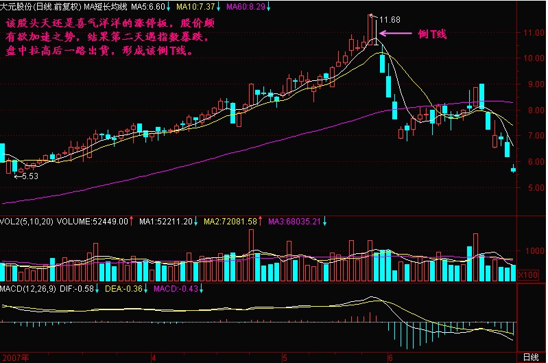 T線形成頭部的意義 T線形成頭部的意義