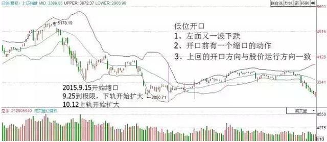佈林線喇叭口形態解析 佈林線喇叭口形態解析