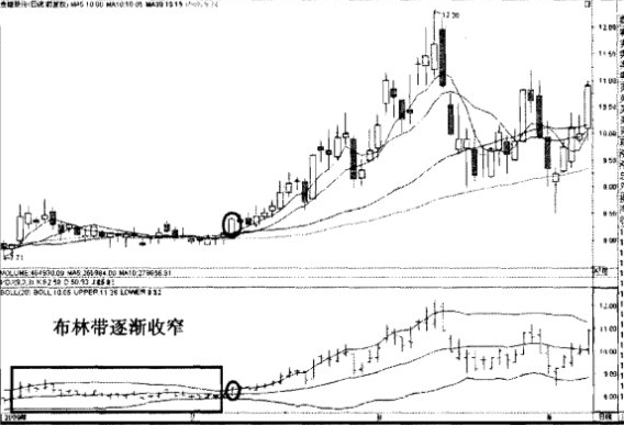 佈林線喇叭開花抓黑馬 佈林線喇叭開花抓黑馬