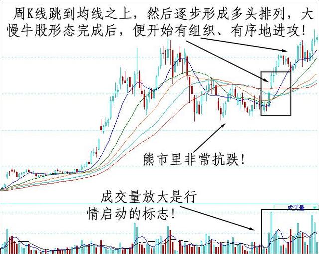 用周K線選出牛股 用周K線選出牛股