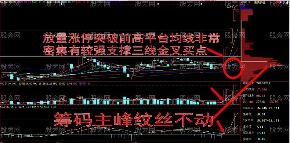 牛股簡析
