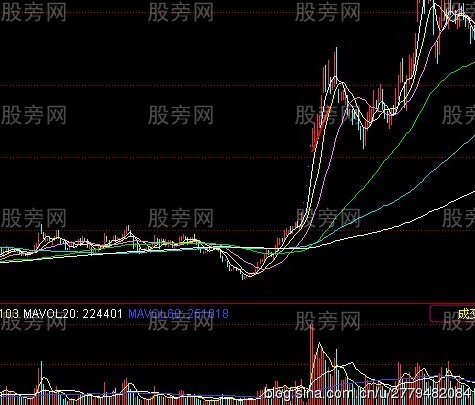 黑馬基因三加三 黑馬基因三加三