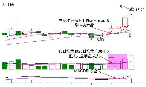 輕松獲利的炒股3招 輕松獲利的炒股3招