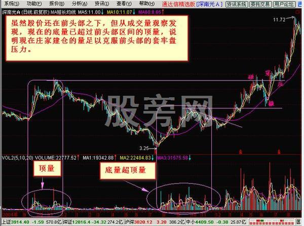 出手就翻倍的抓黑馬形態技巧 出手就翻倍的抓黑馬形態技巧