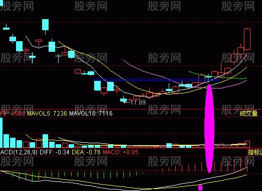 牛股的基本面和技術面共同特點 牛股的基本面和技術面共同特點
