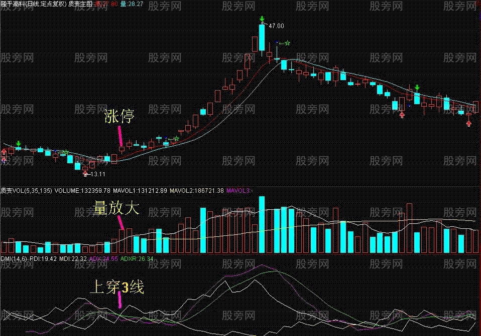 DMI連穿三線抄大底 DMI連穿三線抄大底