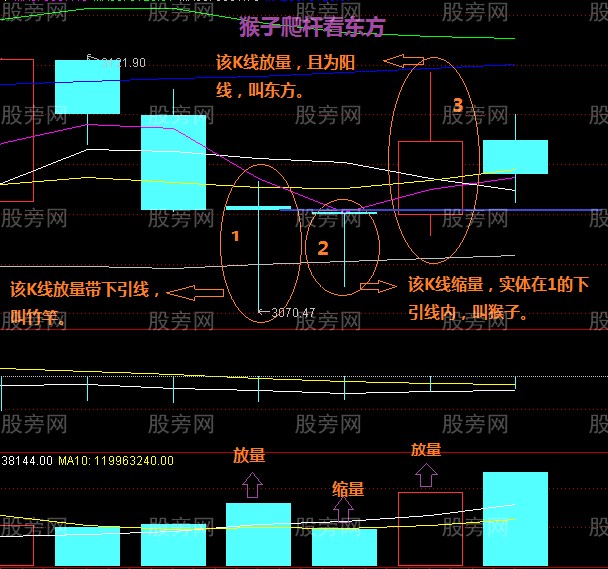 猴子爬桿看東方買入模式 猴子爬桿看東方買入模式