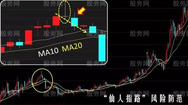 仙人指路超詳細操作圖解