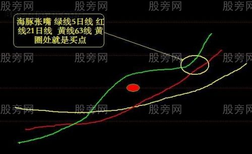 海豚張嘴形態解釋 海豚張嘴形態解釋