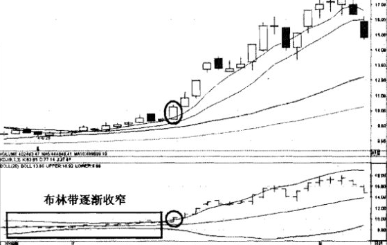 佈林線喇叭開花抓黑馬 佈林線喇叭開花抓黑馬