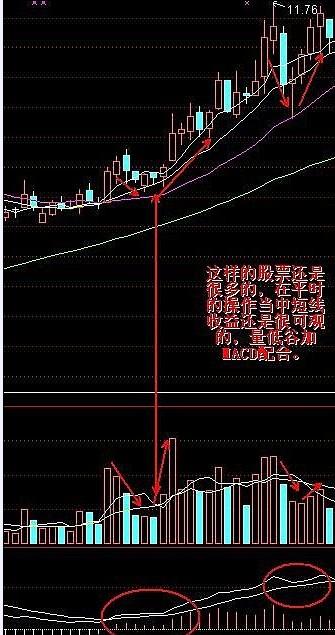 MACD如來掌理論 MACD如來掌理論
