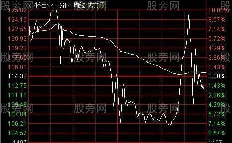 強莊股出貨經典分時圖 強莊股出貨經典分時圖