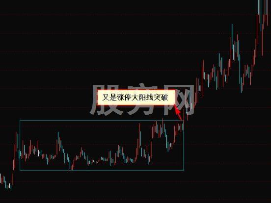 出手就翻倍的抓黑馬形態技巧 出手就翻倍的抓黑馬形態技巧