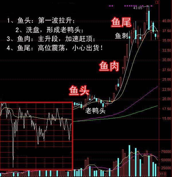 魚頭魚肉魚尾拉升三部曲