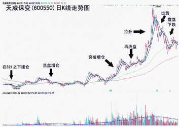 立樁量抓黑馬 立樁量抓黑馬