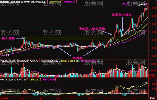 仙人指路戰法深度研究 仙人指路戰法深度研究