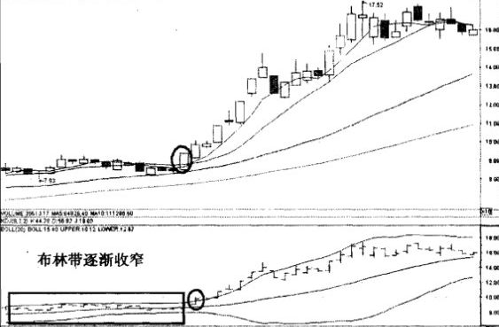 佈林線喇叭開花抓黑馬 佈林線喇叭開花抓黑馬