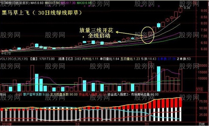 黑馬草上飛形態圖片講解 黑馬草上飛形態圖片講解