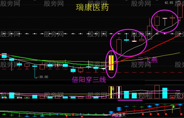 細節入手抓牛股
