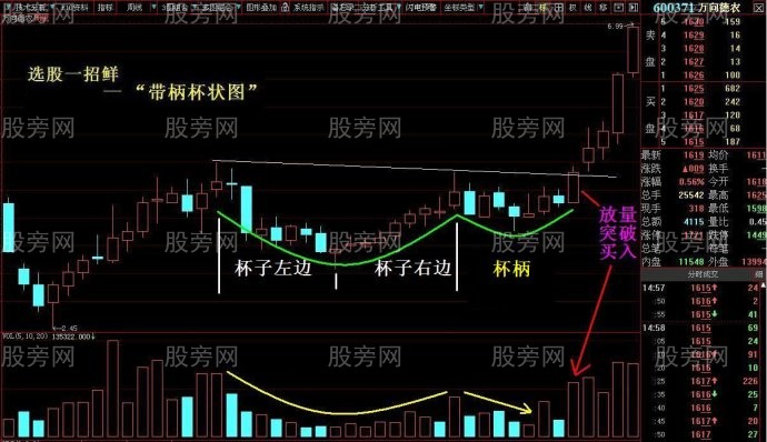 帶柄杯狀圖牛股的經典形態